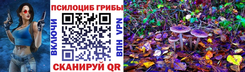 Псилоцибиновые грибы мухоморы  Купить закладки  Магадан 