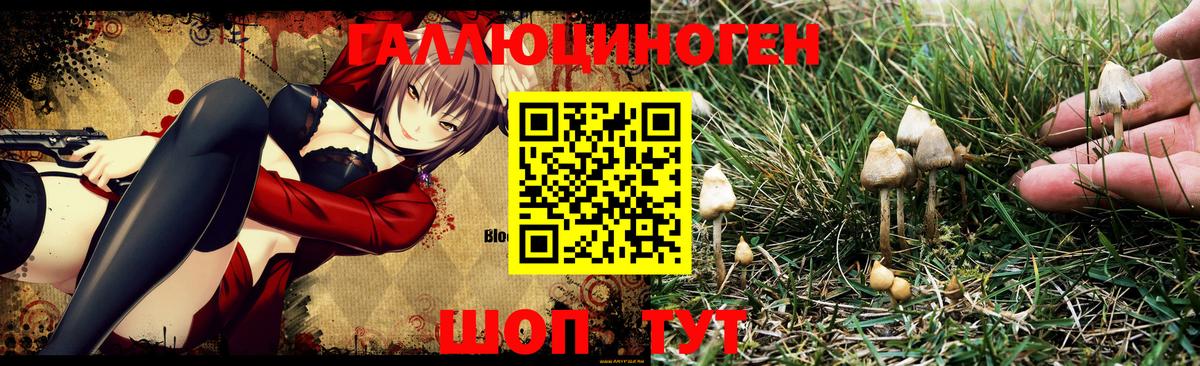 Магадан  Конопля  А ПВП СОЛЬ кристаллы  ГАШИШ  Мефедрон кристаллы  МДМА  Меф   Марихуана  КОКАИН  Лсд 25 