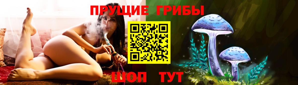 Магадан  Галлюциногенные грибы MAGIC MUSHROOMS  Галлюциногенные грибы мухоморы  Вход с VPN 